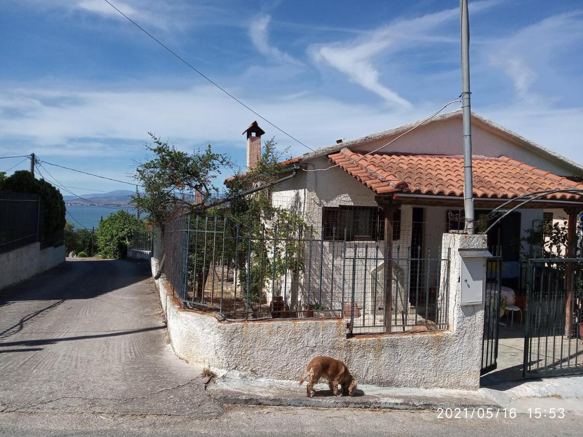 فيلا Sea View Dilesi Dhílesi المظهر الخارجي الصورة